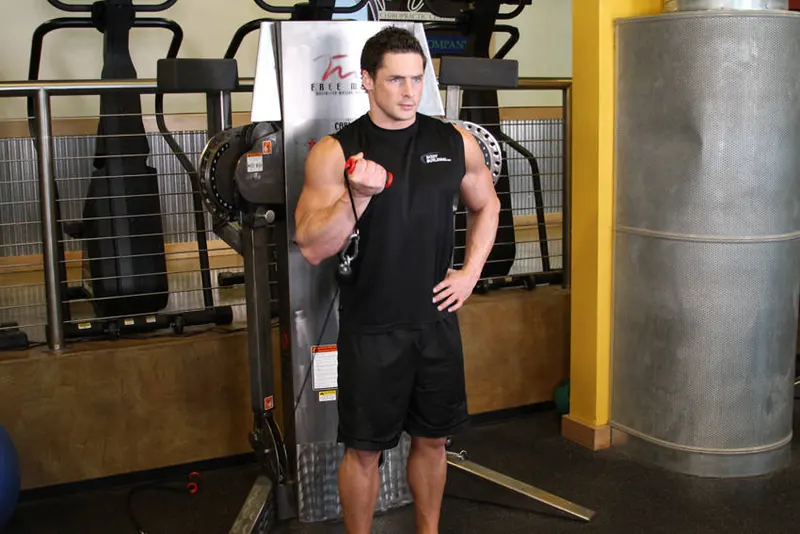 Standing One-Arm Cable Curl: end position