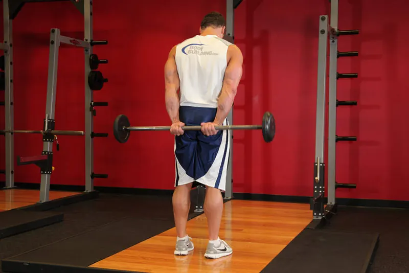Standing Palms-Up Barbell Behind The Back Wrist Curl: starting position