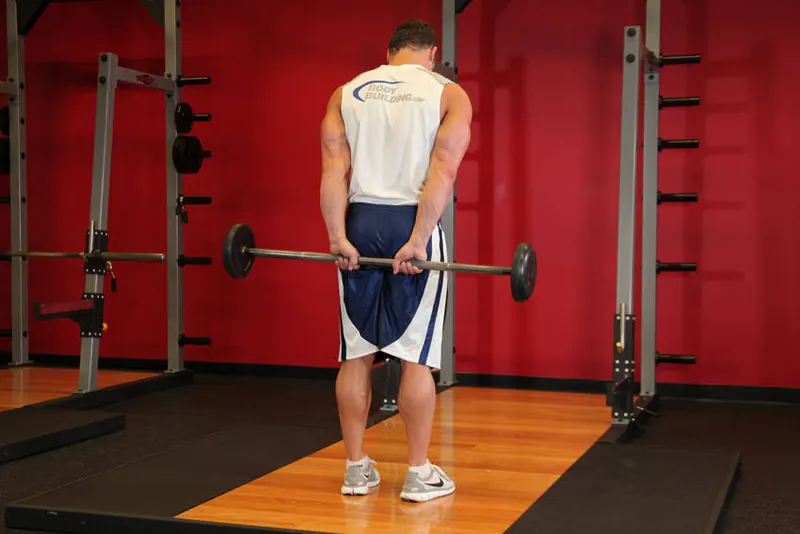 Standing Palms-Up Barbell Behind The Back Wrist Curl: end position