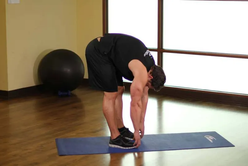 Standing Toe Touches: end position