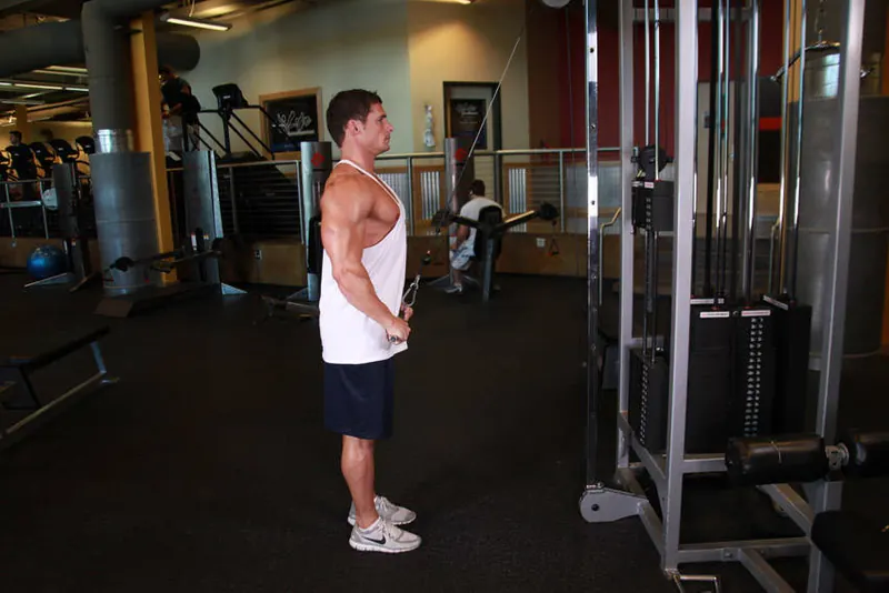 Straight-Arm Pulldown: end position