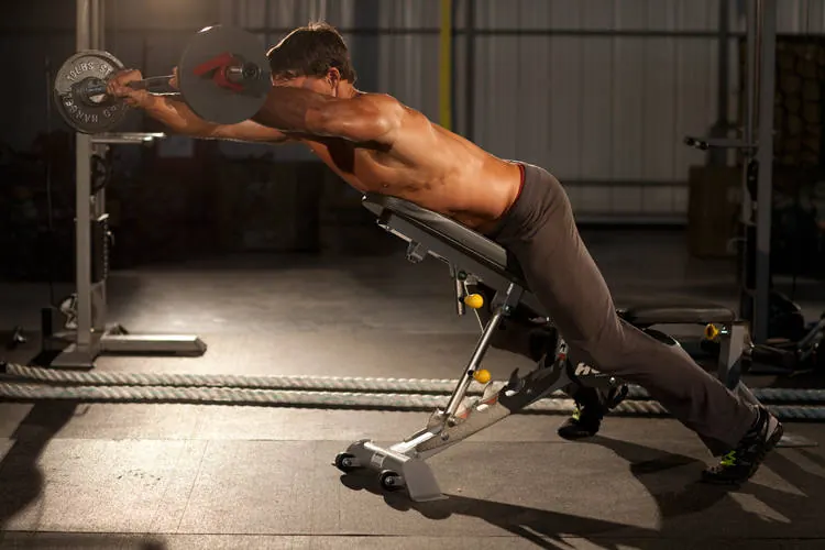 Straight Raises on Incline Bench: end position
