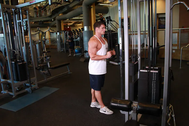 Triceps Pushdown - Rope Attachment: starting position