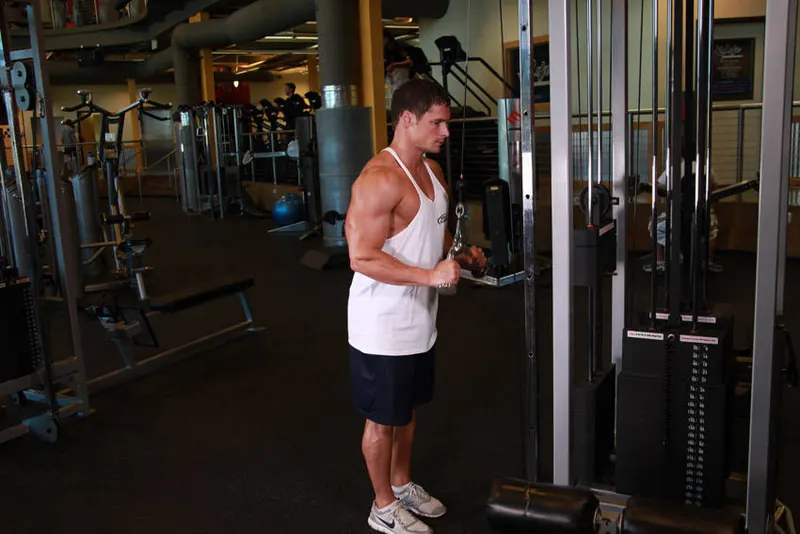 Triceps Pushdown - V-Bar Attachment: starting position