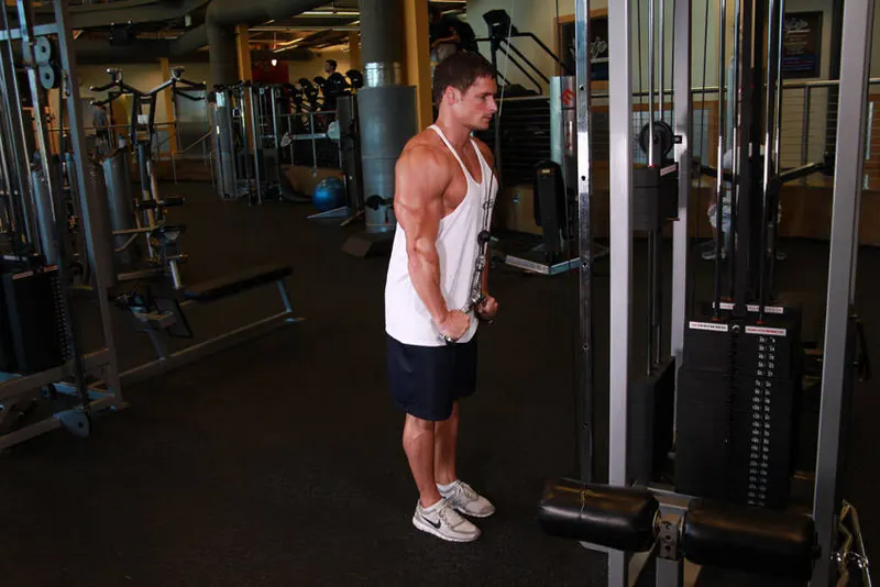 Triceps Pushdown - V-Bar Attachment: end position