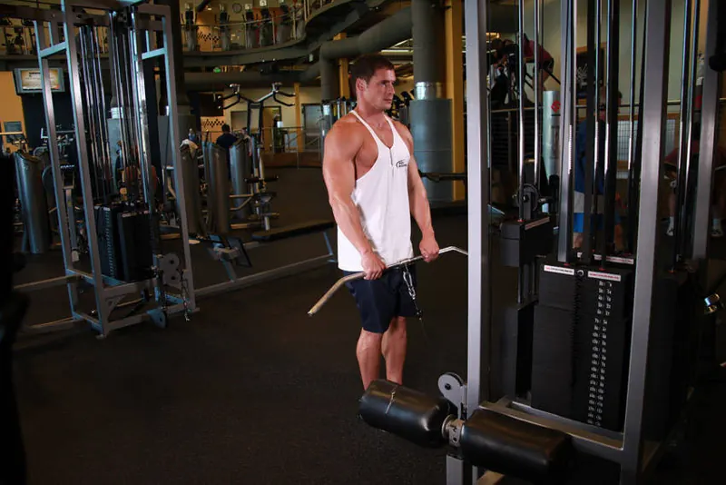Upright Cable Row: end position