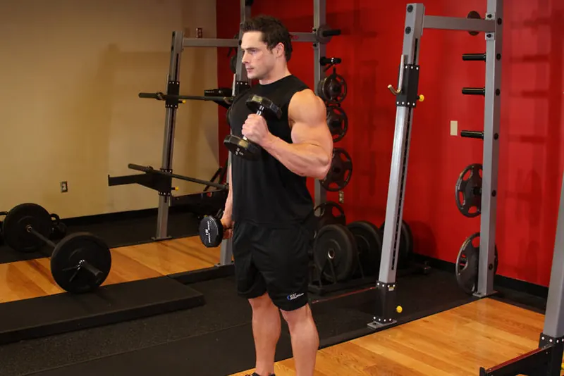 Hammer Curl: end position