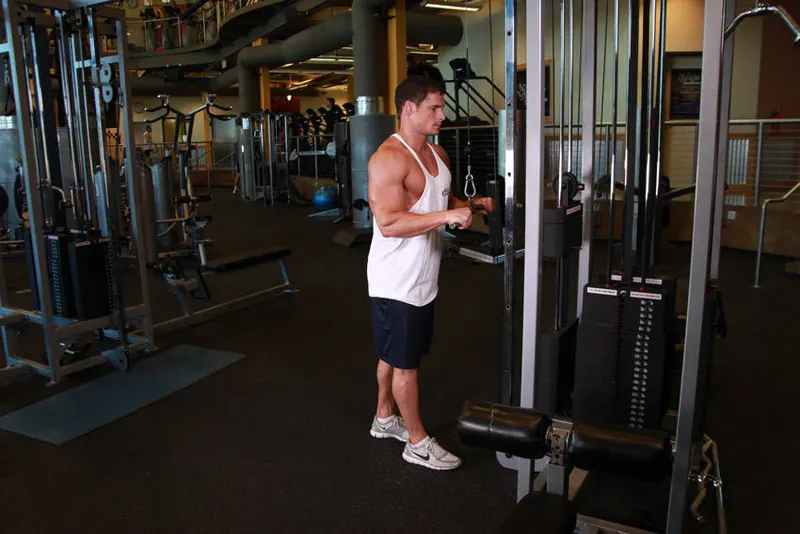 Triceps Pushdown: starting position