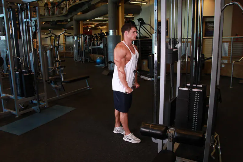 Triceps Pushdown: end position